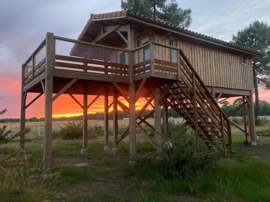 L'Observatoire De L'Aerogrange Biscarrosse Zewnętrze zdjęcie